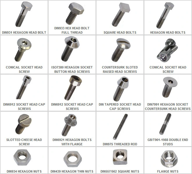 Stainless Steel Bolts in Fasteners (bolts nuts screw washers)